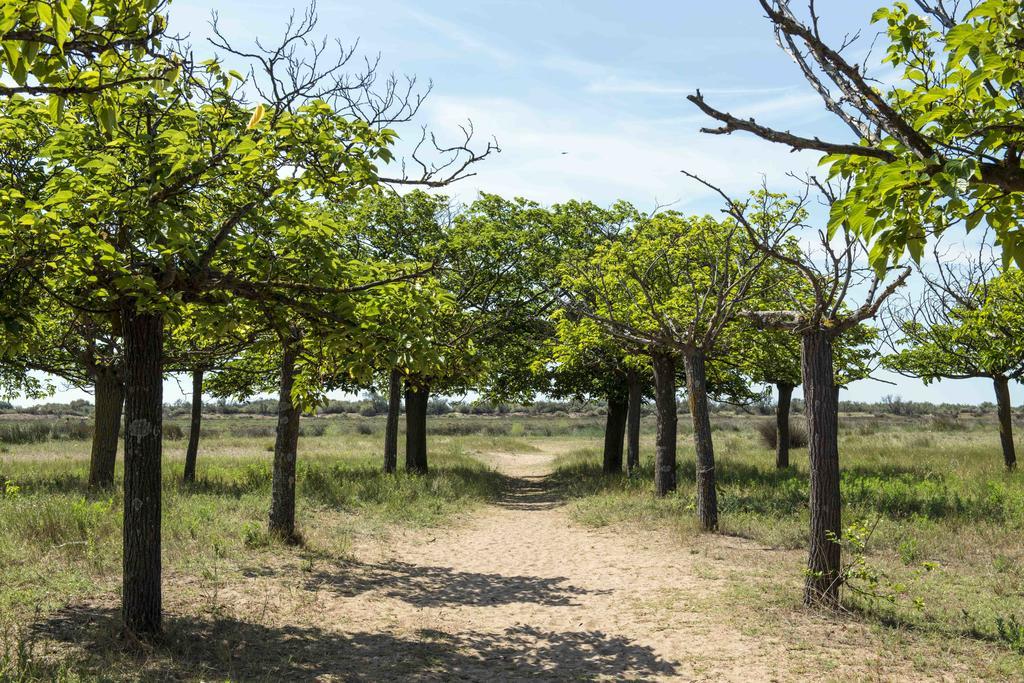 Domaine Les Muriers Вандр Экстерьер фото